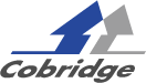 Cobridge Co., Ltd.
